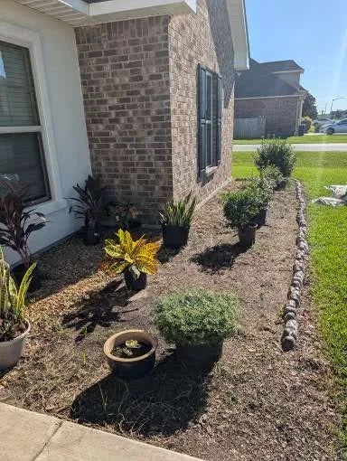 Professional yard cleanup service near you in Lafayette, LA by Everlush Lawn Care