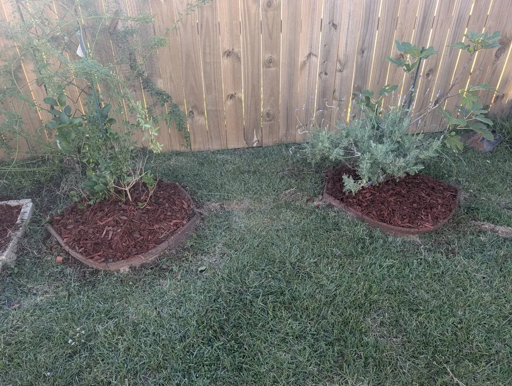 Professional garden landscaping for year-round maintenance across Lafayette, LA - Everlush Lawn Care