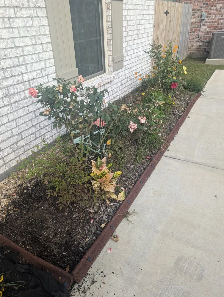 Top-rated lawn care service in Lafayette, LA by Everlush Lawn Care