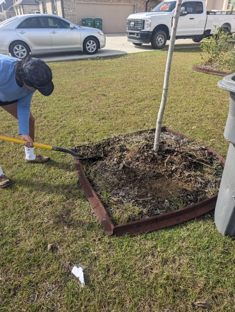 Expert yard maintenance for outdoor upgrades in Lafayette, LA by Everlush Lawn Care