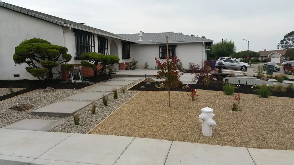 Top-rated yard cleanup service experts serving Richmond, CA - Evermont Landscape