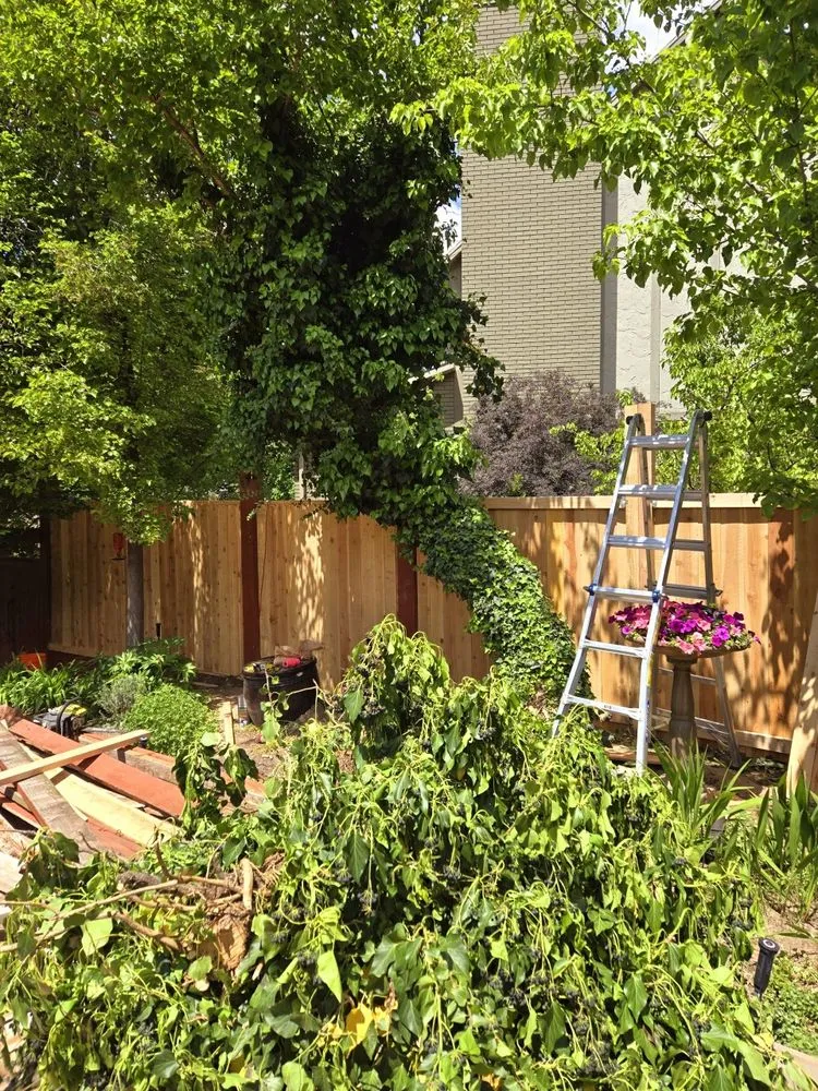 Professional yard maintenance in Sandy, UT - EverRoot Tree Services & Landscaping