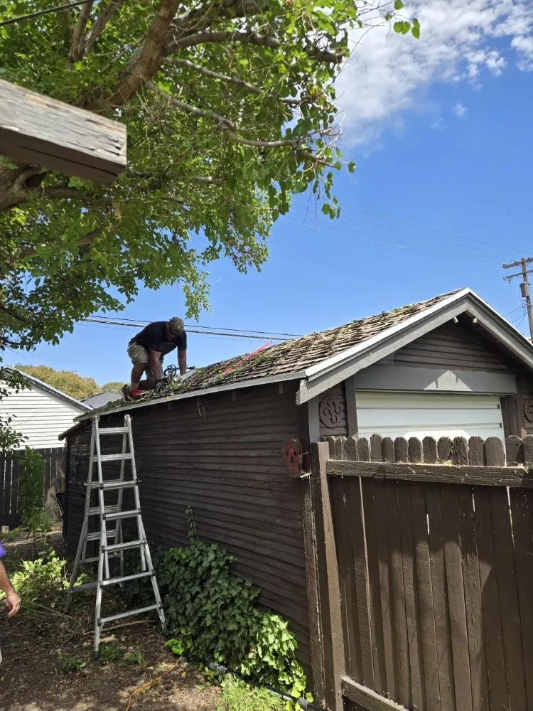 Top-rated yard cleanup service in Sandy, UT - EverRoot Tree Services & Landscaping