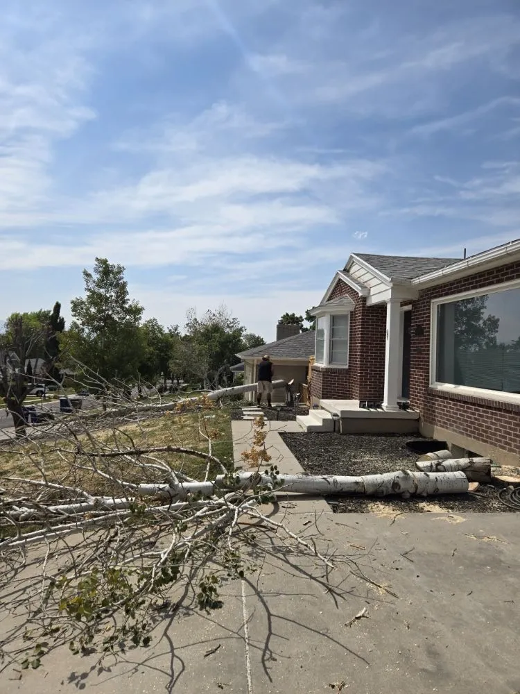 Custom landscaping services in Sandy, UT - EverRoot Tree Services & Landscaping