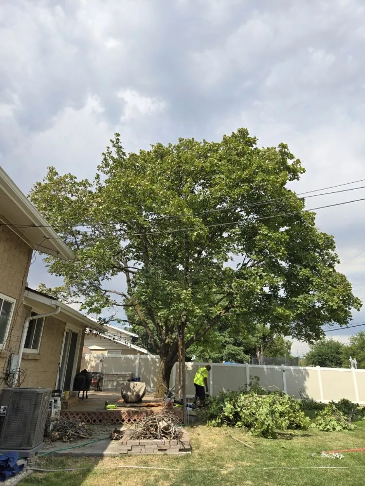 Affordable outdoor landscaping for outdoor upgrades in Sandy, UT by EverRoot Tree Services & Landscaping