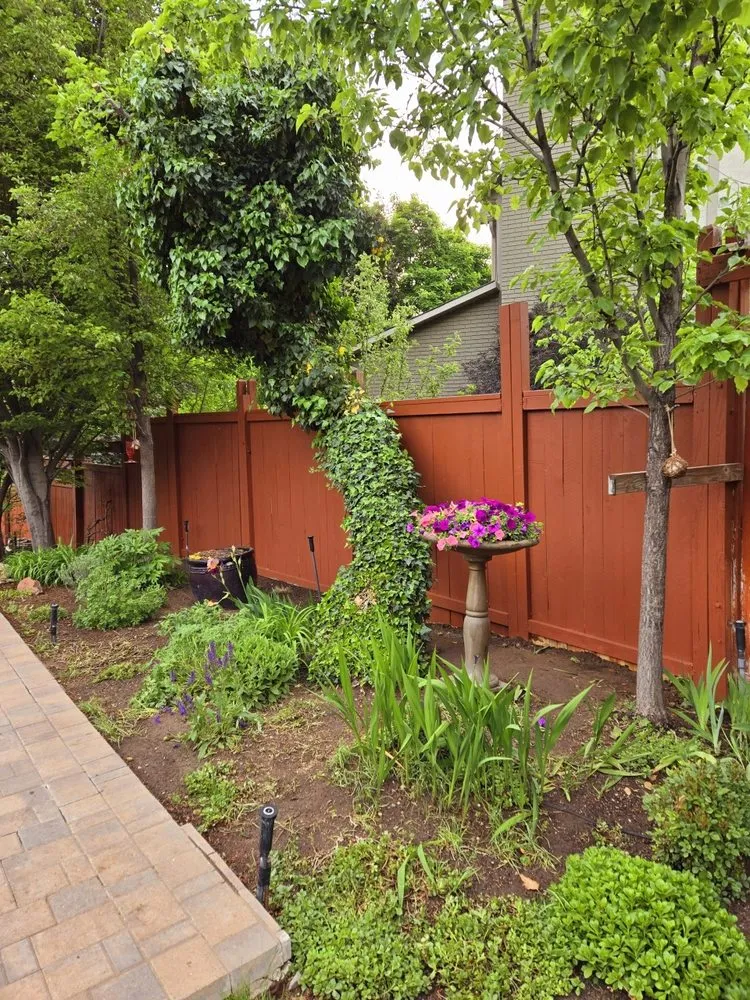 Reliable yard cleanup service with custom design in Sandy, UT by EverRoot Tree Services & Landscaping