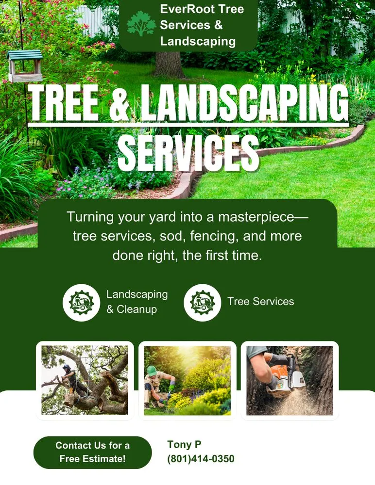 Trusted yard cleanup service experts serving Sandy, UT - EverRoot Tree Services & Landscaping