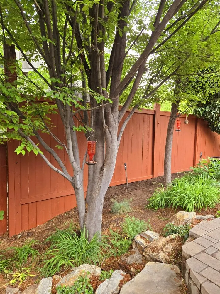 Expert garden landscaping for outdoor upgrades in Sandy, UT by EverRoot Tree Services & Landscaping