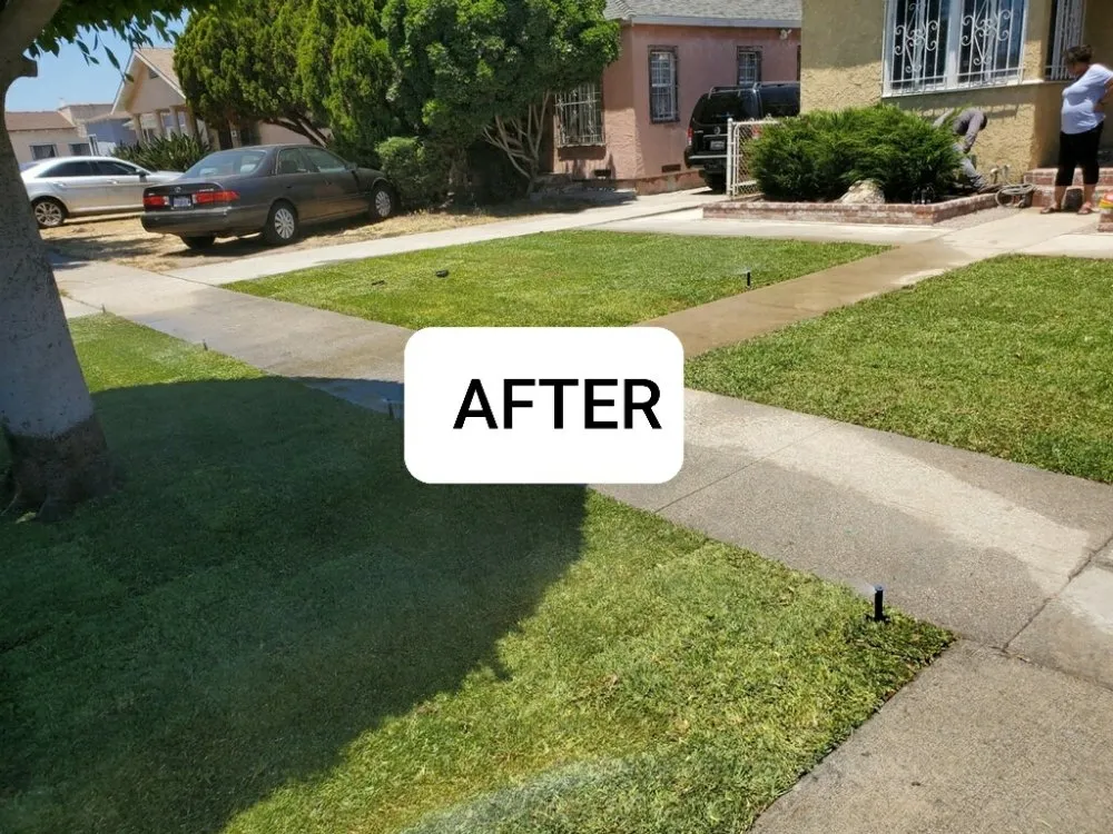Professional yard maintenance in Compton, CA by Ever's Landscaping
