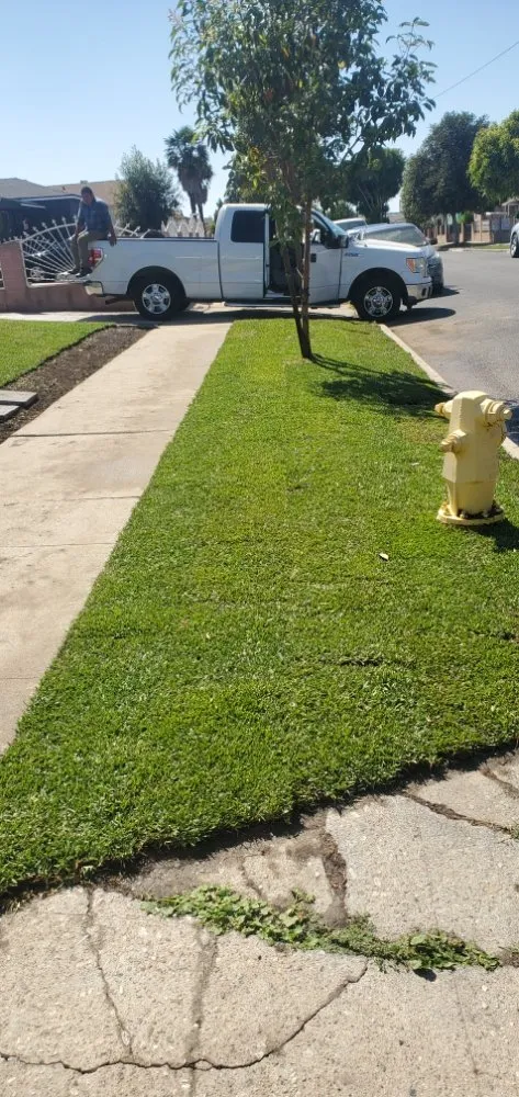 Top-rated landscape installation in Compton, CA - Ever's Landscaping