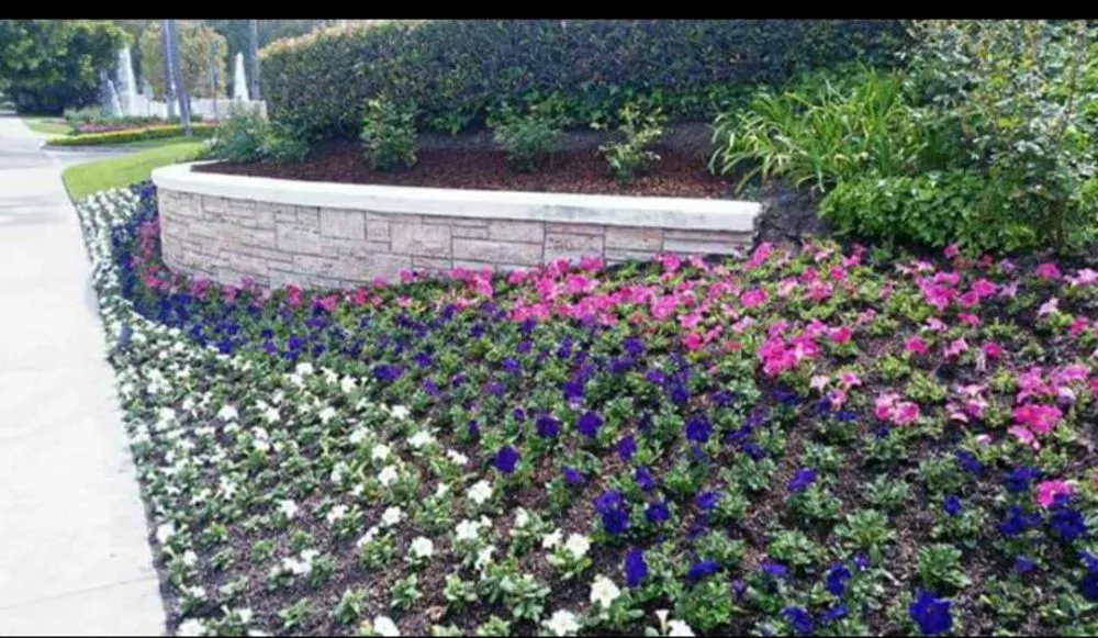 Local lawn care service for homes in Compton, CA by Ever's Landscaping