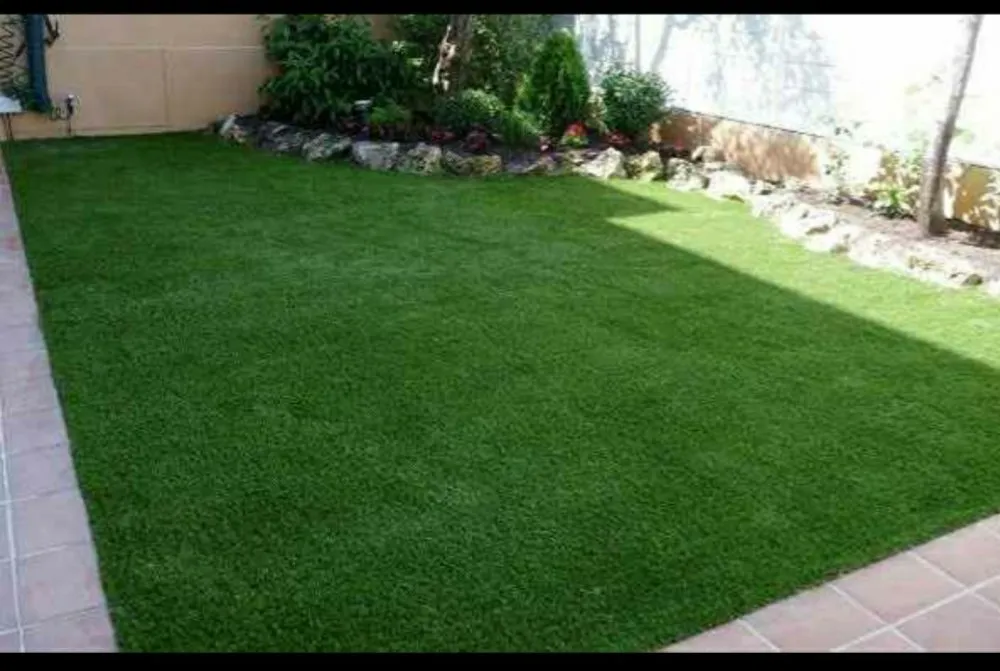 Reliable yard cleanup service experts serving Compton, CA - Ever's Landscaping