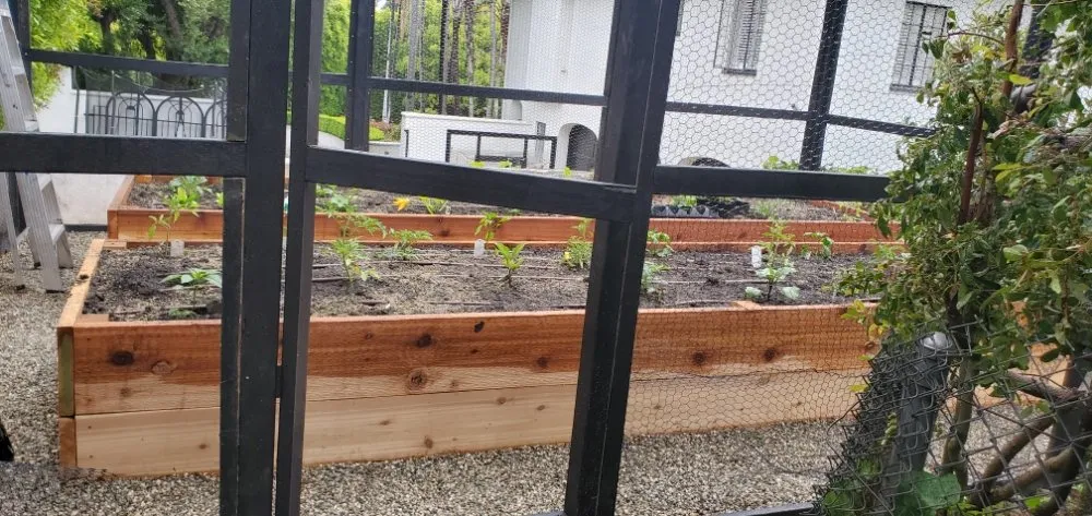 Expert lawn mowing service in Compton, CA by Ever's Landscaping