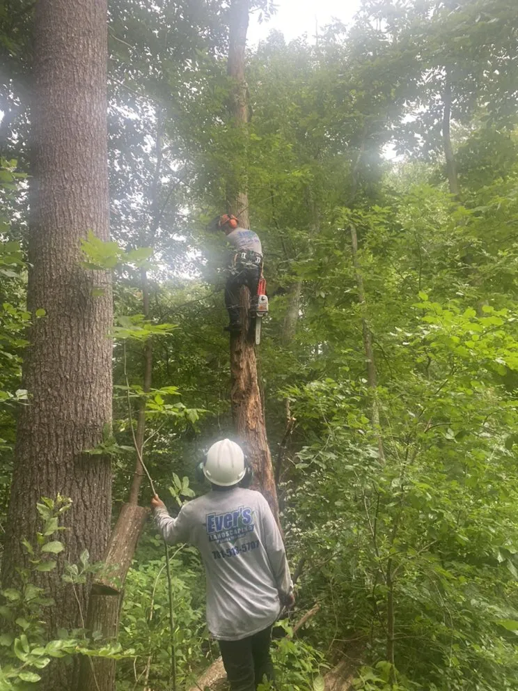 Local garden landscaping in Lynn, MA by Evers Landscaping