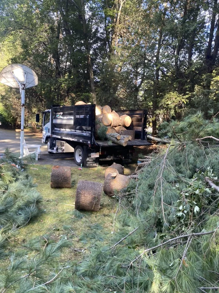 Trusted landscape design experts serving Lynn, MA - Evers Landscaping