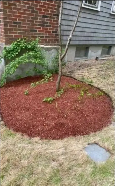 Professional yard cleanup service in Lynn, MA - Evers Landscaping