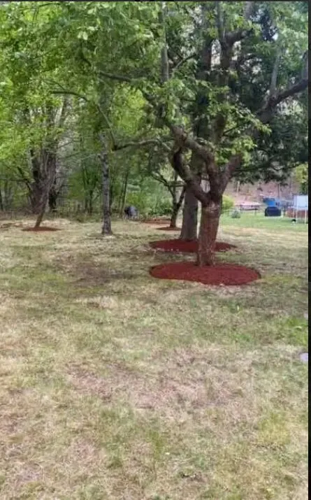 Professional landscaping services in Lynn, MA by Evers Landscaping