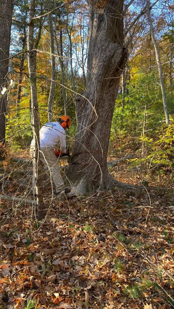 Expert lawn mowing service for homes across Lynn, MA - Evers Landscaping