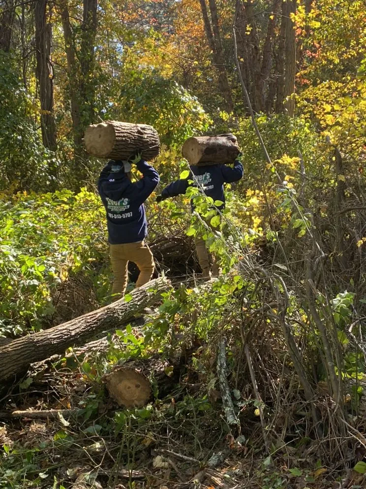 Top-rated yard maintenance for homes in Lynn, MA by Evers Landscaping