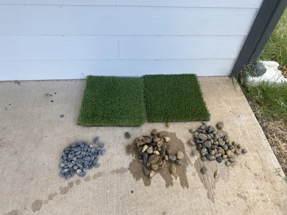 Trusted lawn care service in Dallas, TX by Ever's Lawn & Landscape