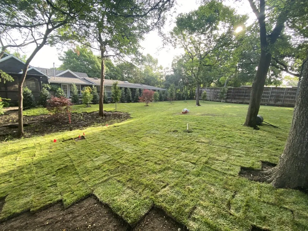 Local lawn care service experts serving Dallas, TX - Ever's Lawn & Landscape
