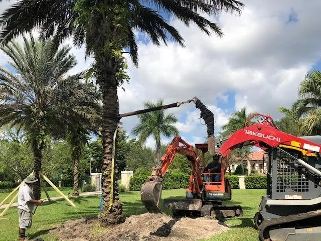 Trusted outdoor landscaping in Davie, FL by Everscape Landscaping