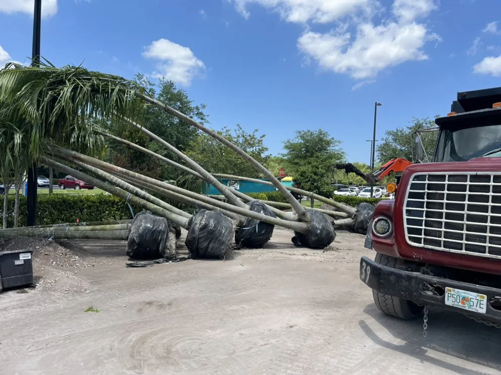 Trusted garden landscaping experts serving Davie, FL - Everscape Landscaping