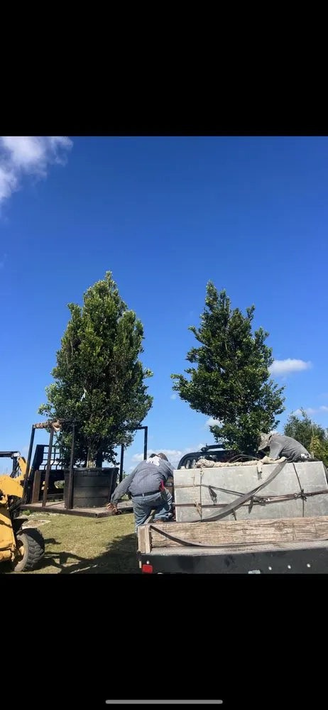 Trusted outdoor landscaping experts serving Davie, FL - Everscape Landscaping