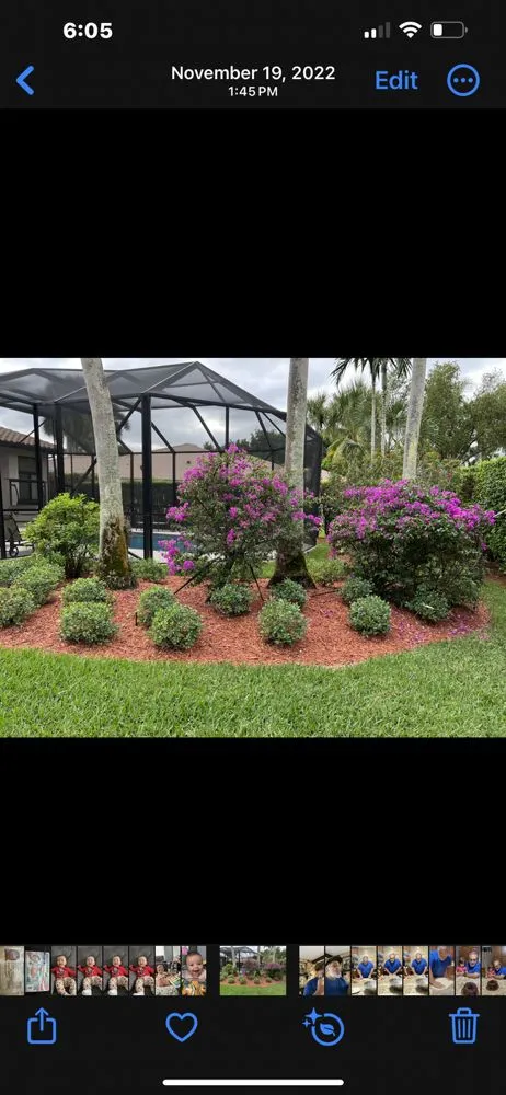 Trusted landscape design in Davie, FL by Everscape Landscaping
