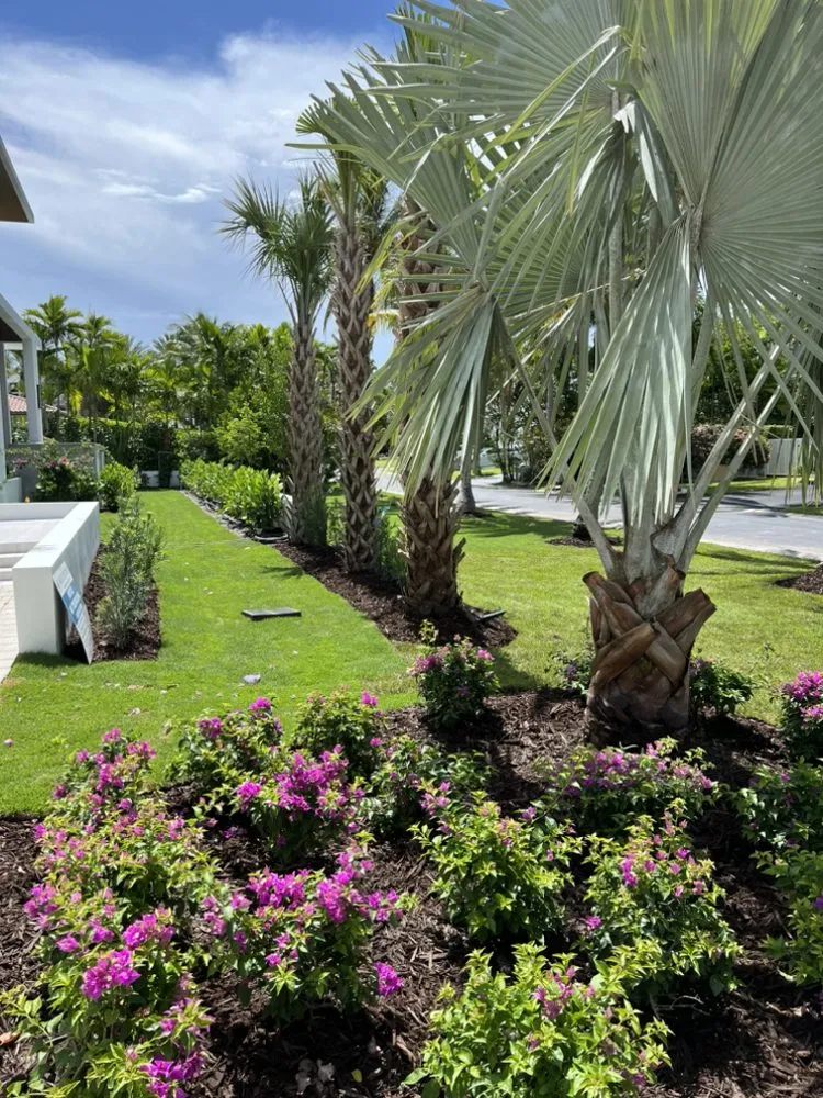 Affordable landscape installation experts serving Davie, FL - Everscape Landscaping