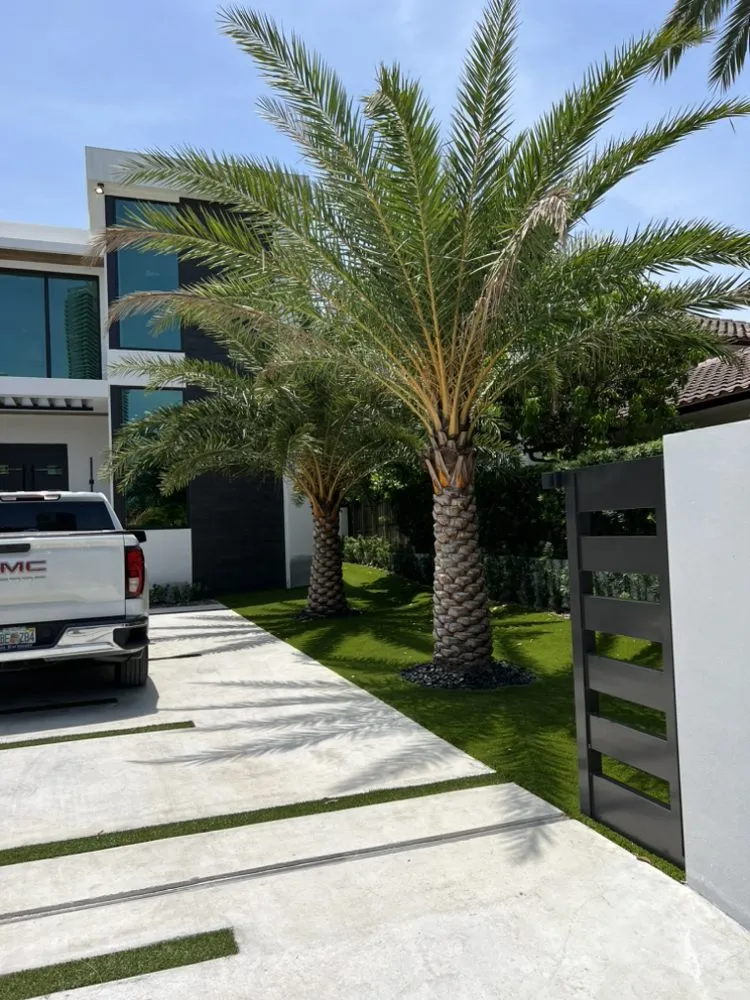 Reliable garden landscaping for year-round maintenance in Davie, FL by Everscape Landscaping