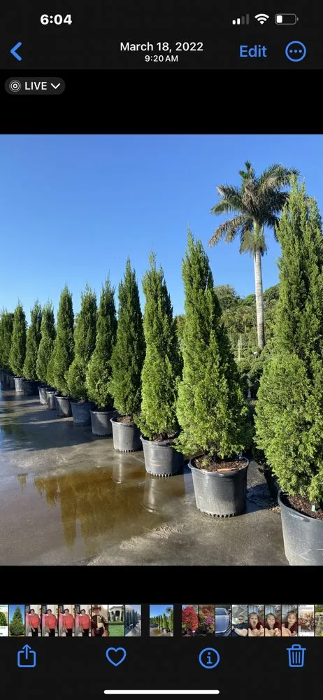 Affordable yard maintenance for beautiful yards across Davie, FL - Everscape Landscaping