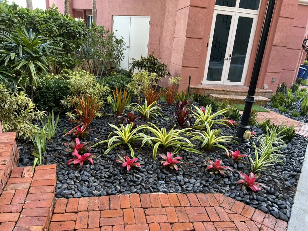 Affordable landscape installation for homes across Davie, FL - Everscape Landscaping