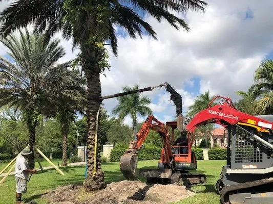 Everscape Landscaping Logo