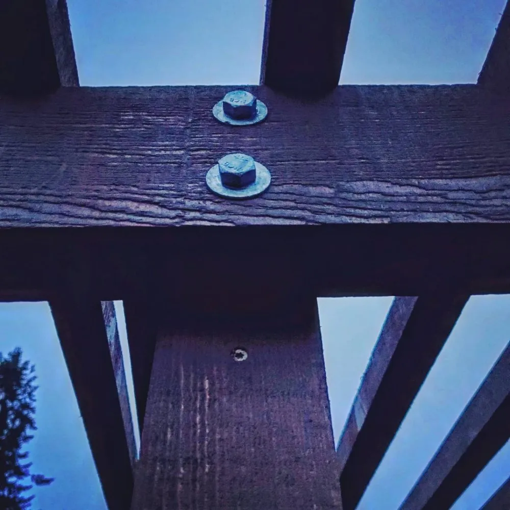 Affordable lawn mowing service for residential properties across Bellevue, WA - Everscaping