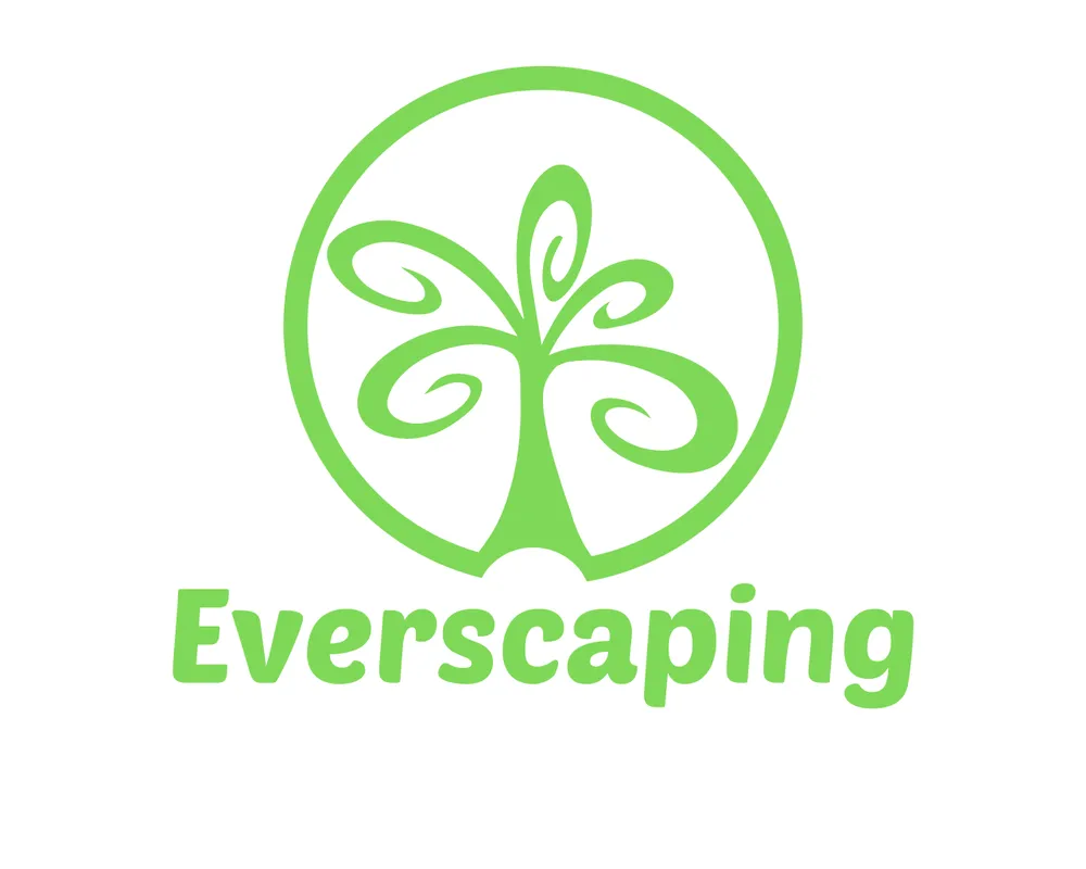 Professional landscaping services in Bellevue, WA - Everscaping
