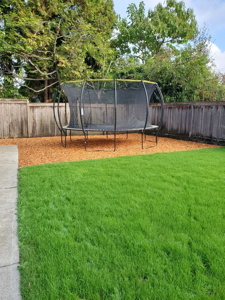 Local outdoor landscaping for beautiful yards across Bellevue, WA - Everscaping