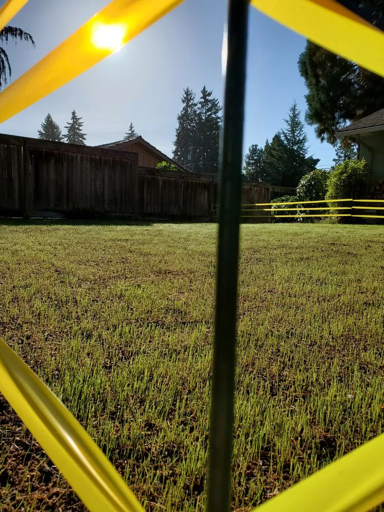 Expert landscaping services near you across Bellevue, WA - Everscaping