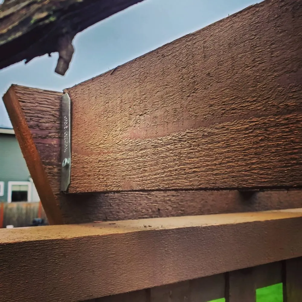 Expert landscape design experts serving Bellevue, WA - Everscaping