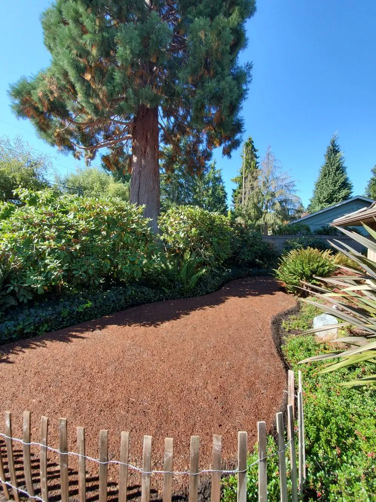 Reliable yard cleanup service for homes in Bellevue, WA by Everscaping