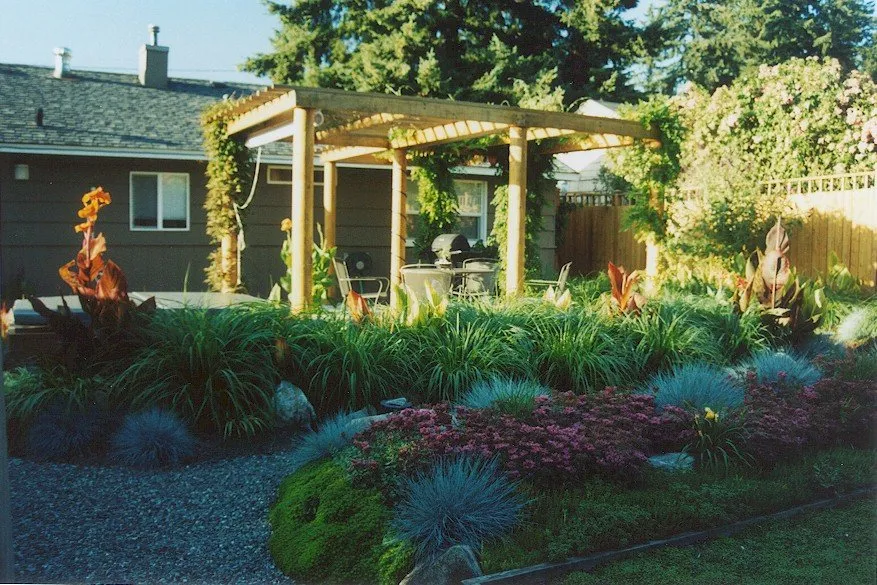 Custom yard maintenance in Bellevue, WA - Everscaping