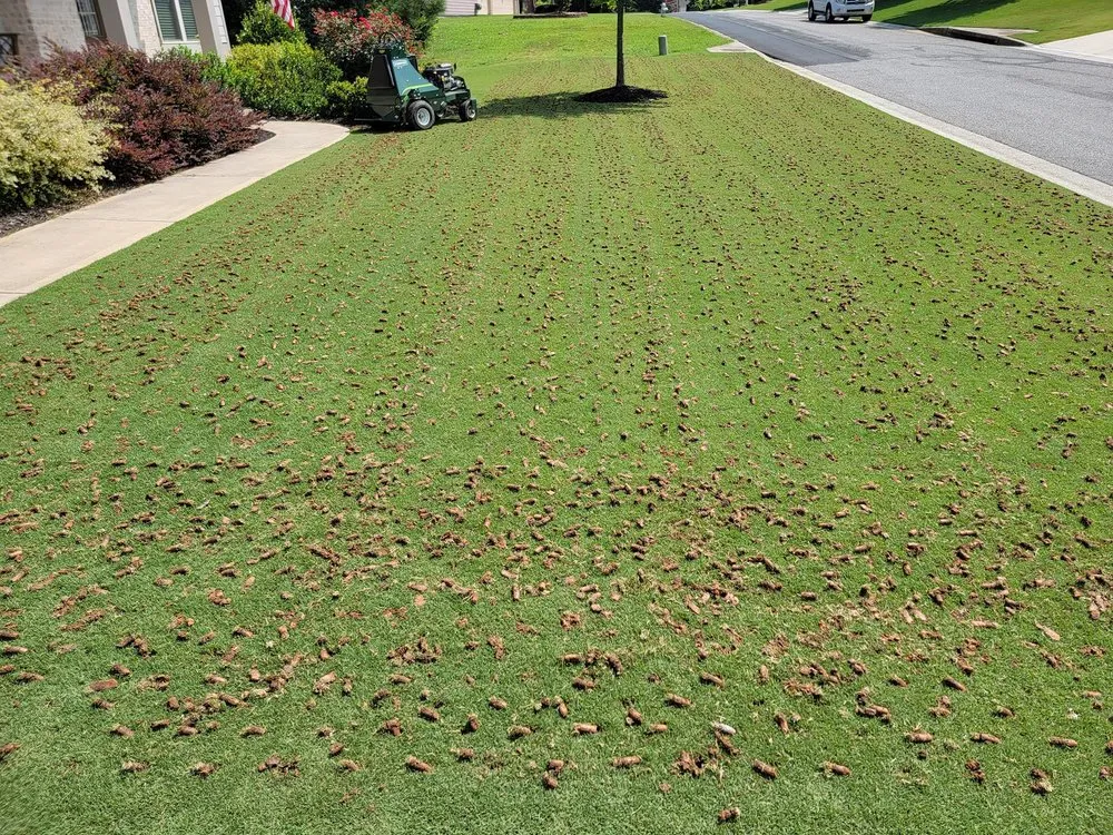 Reliable lawn care service in Canton, GA - Everspaugh Lawn Services