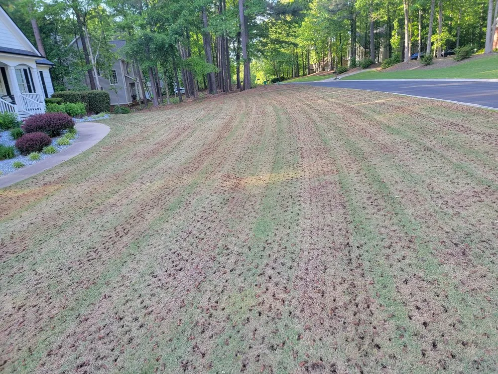 Trusted lawn mowing service with custom design in Canton, GA by Everspaugh Lawn Services