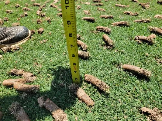 Everspaugh Lawn Services Logo