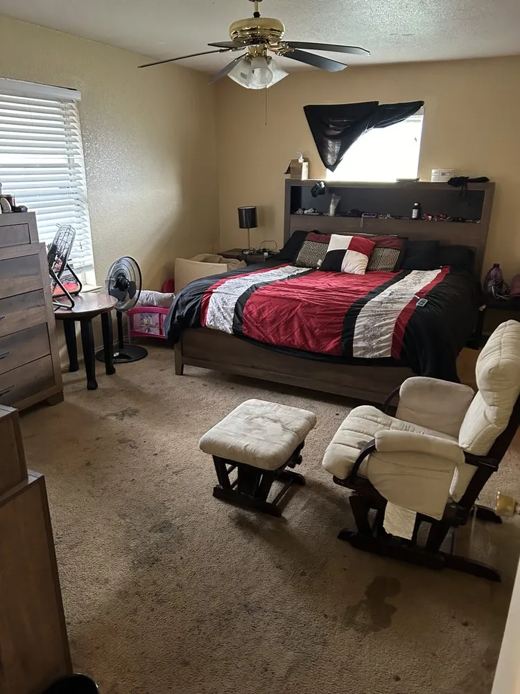 Affordable landscape design experts serving Killeen, TX - EverSpring Cleaning