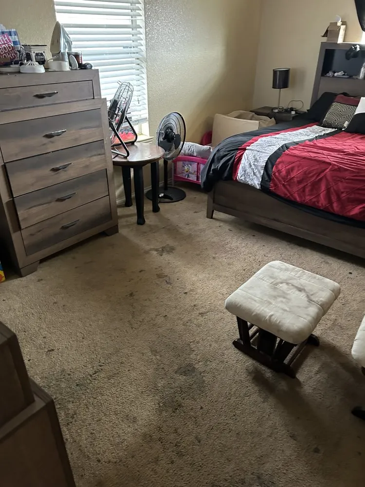 Custom landscape design for outdoor upgrades across Killeen, TX - EverSpring Cleaning