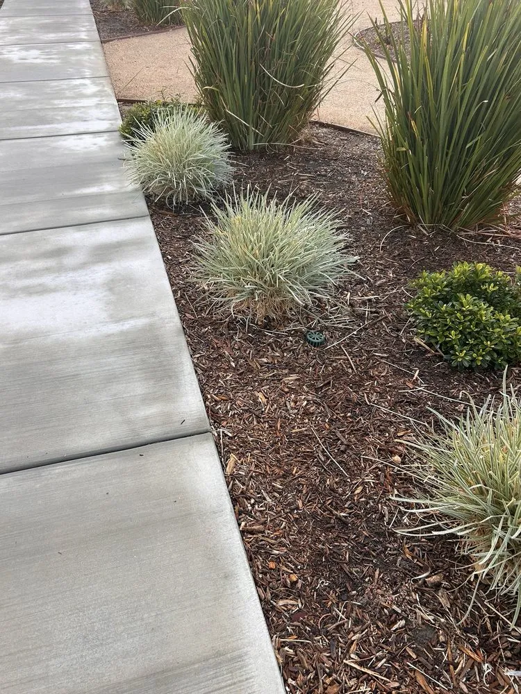 Expert garden landscaping in Riverside, CA - Everthrive Landscape