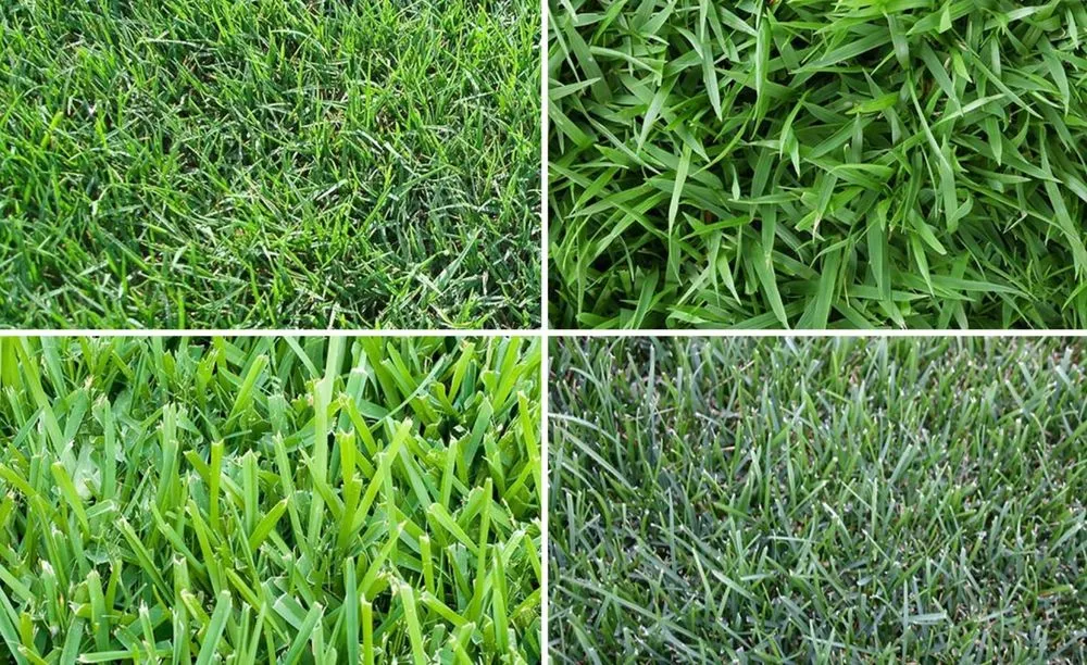 Custom landscape installation in Richardson, TX - EverTurf