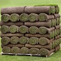 Reliable outdoor landscaping for beautiful yards in Richardson, TX by EverTurf