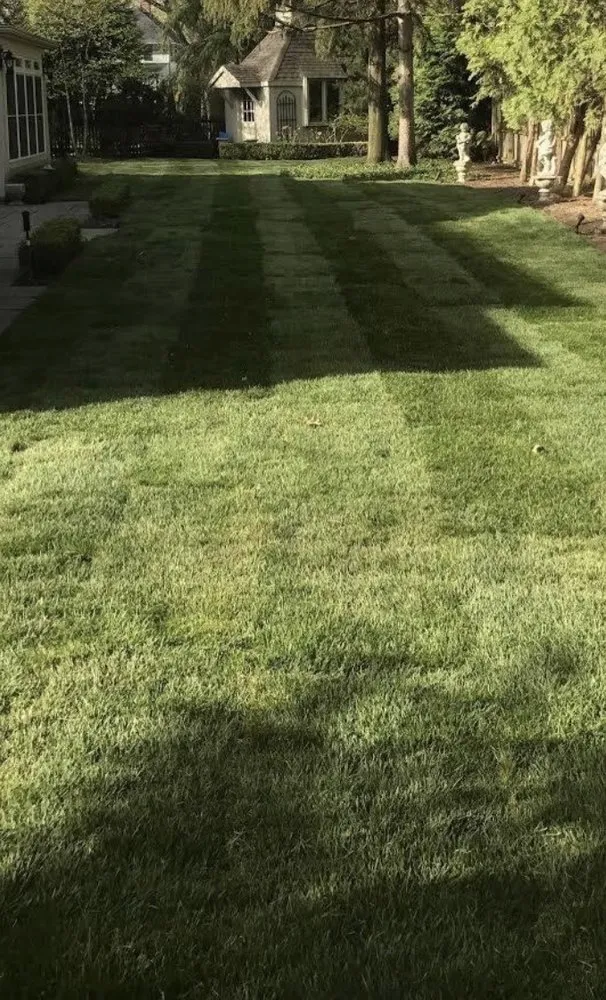 Trusted residential landscaping for year-round maintenance in Richardson, TX by EverTurf